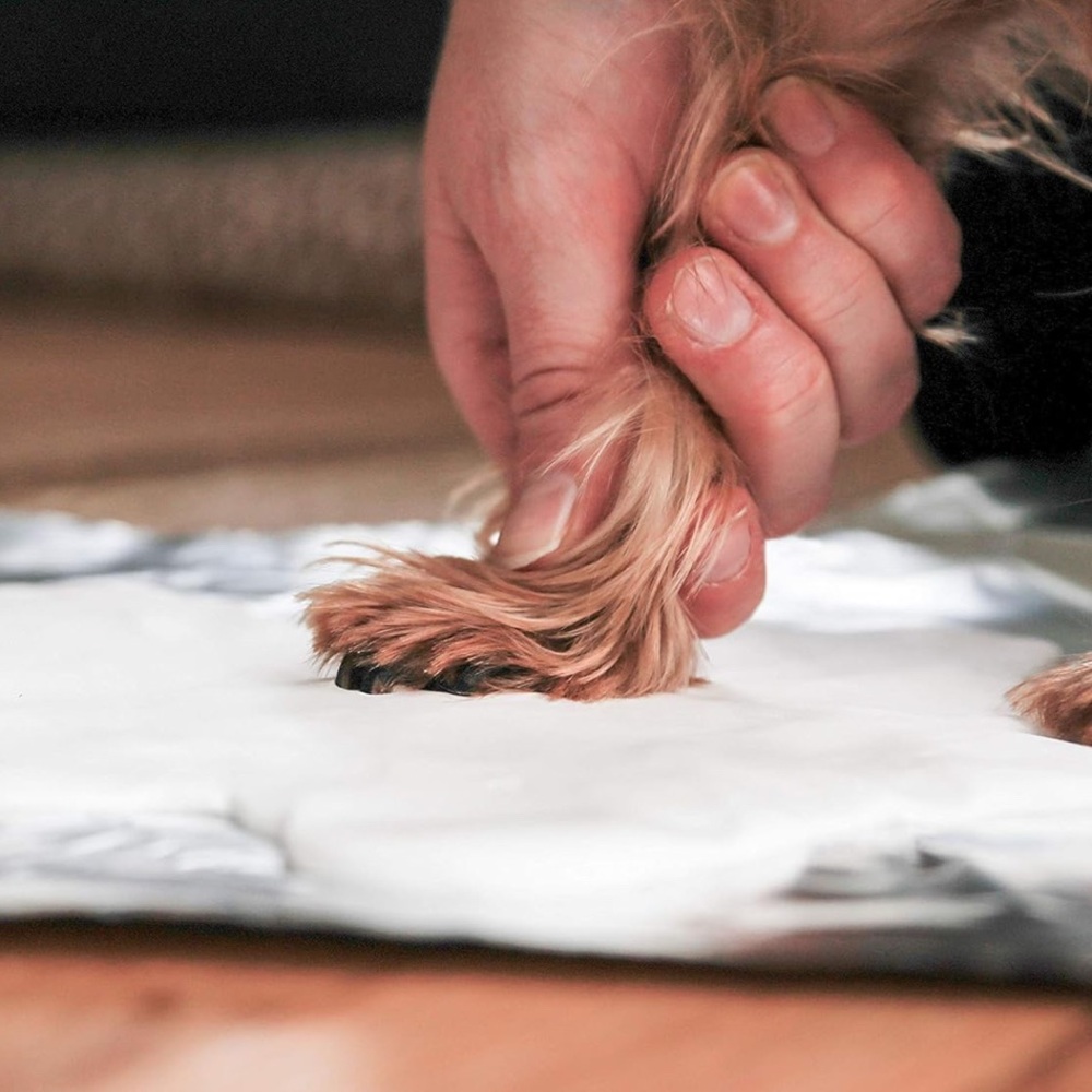 Memory Paw print Kit - Picture 7 of 8